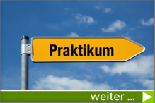 Praktikumsangebote