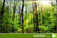 Umwelt und Natur